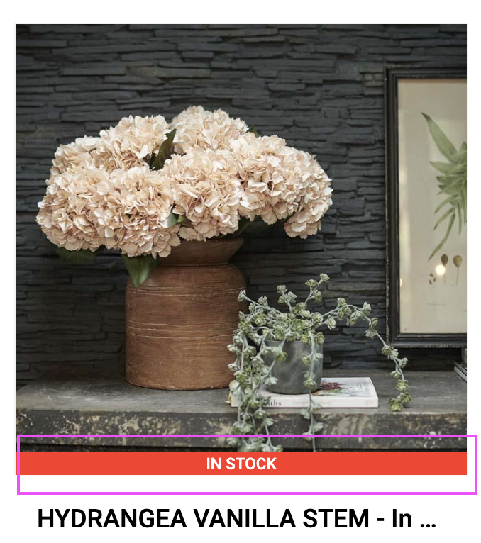 Screenshot 2025-04-21 at 10.55.25 AM.png